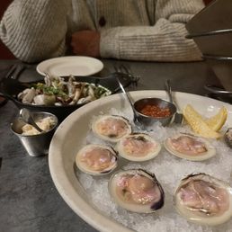 Little Neck Clams