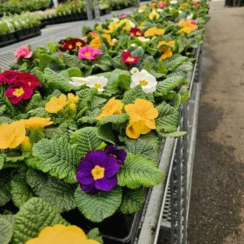 Art's Nurserys  - Nurseries & Gardening Near Me - Surrey, British Columbia
