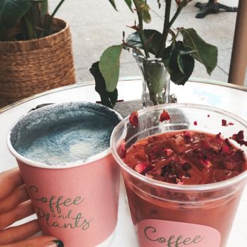 Coffee and Plants - Coffee & Tea Near Me - Pasadena, California