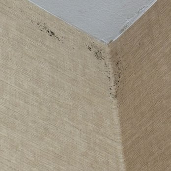 Hampton Inn Lincoln - Mold near bathroom ceiling - Hotels Near Me - Lincoln, Illinois Hampton Inn Lincoln - Mold near bathroom ceiling - Hotels Near Me - Lincoln, Illinois