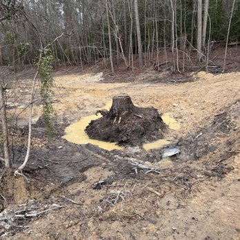 Southland Solutions - Tree Services Near Me Southland Solutions - Tree Services Near Me