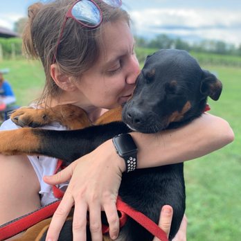 Pop Up Pet Services - Dog Walkers Near Me Pop Up Pet Services - Dog Walkers Near Me