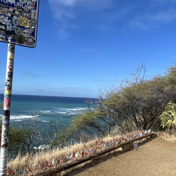 Hawaii Turtle Tours - Amillisa Earhart's lookout! - Tours Near Me - Honolulu, Hawaii