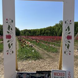 Wicked Tulips Flower Farm