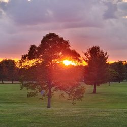 Ironwood Links