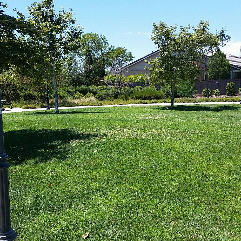 Bridgeview Park - Parks Near Me - Elk Grove, California Bridgeview Park - Parks Near Me - Elk Grove, California