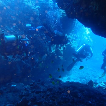 Extended Horizons Scuba - Secret Cove - cool swim throughs - Diving Near Me - Lahaina, Hawaii Extended Horizons Scuba - Secret Cove - cool swim throughs - Diving Near Me - Lahaina, Hawaii