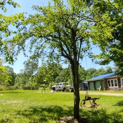 Tree Care Nation - We'll now get about 33% of the pears that we would have gotten otherwise