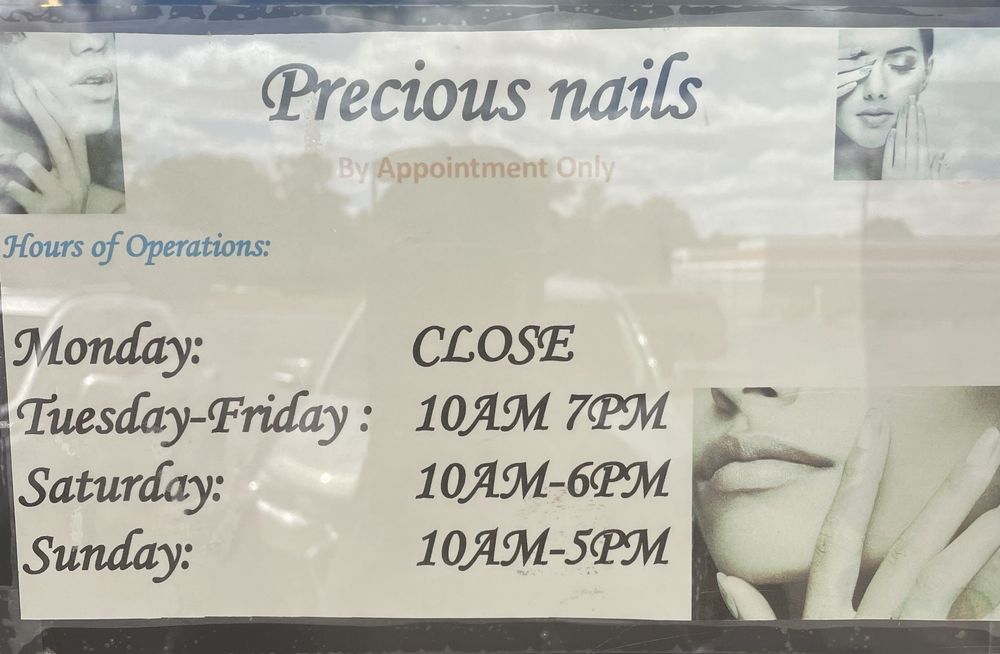 Precious Nails Logo
