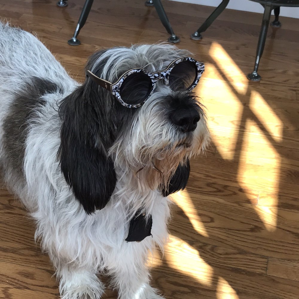 Meraki - Leo posing with my new wooden sunglasses from Mareki! - Jewelry Near Me - Cold Spring, New York Meraki - Leo posing with my new wooden sunglasses from Mareki! - Jewelry Near Me - Cold Spring, New York