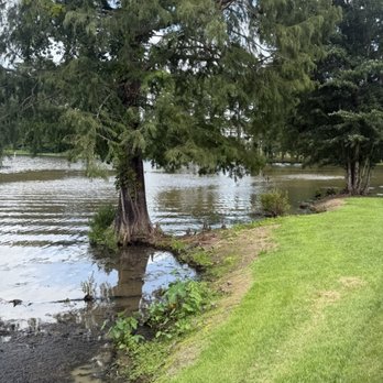 Marsh Landing - It is the view from Marsh Landing! - Apartments Near Me - Albany, Georgia