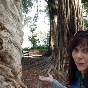 Kraft Azalea Garden - Two huge different types of trees hanging out talking to each other! - Parks Near Me - Winter Park, Florida