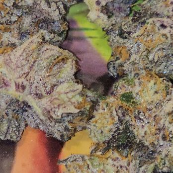 Green Muse - Champagne showers - Cannabis Dispensaries Near Me - Portland, Oregon Green Muse - Champagne showers - Cannabis Dispensaries Near Me - Portland, Oregon
