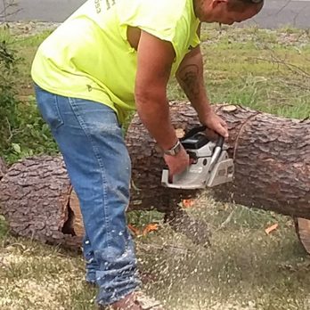 Big Mike's Outdoor Services - Big Mike - Tree Services Near Me - Culpeper, Virginia Big Mike's Outdoor Services - Big Mike - Tree Services Near Me - Culpeper, Virginia