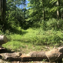 Goose Pond Mountain Area Lot - Trail from beginning of foot trail
