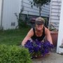 Photo of The Sweedish Gardener