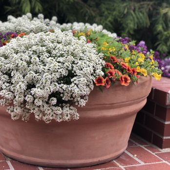 Farnsworth Landscaping - Landscaping Near Me