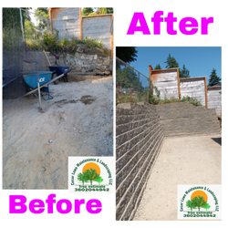 Cesar Lawn Maintenance & Landscaping