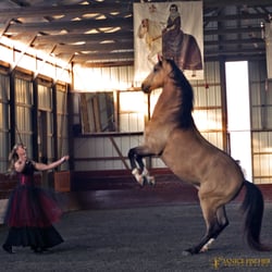 Jill McCrae Farm - Jill McCrae performing with her beautiful Lusitano Quebec