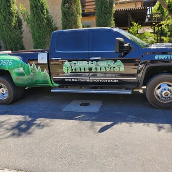 New Era Tree Service - Tree Services Near Me New Era Tree Service - Tree Services Near Me