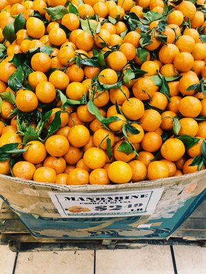 Saraga International Grocery by null