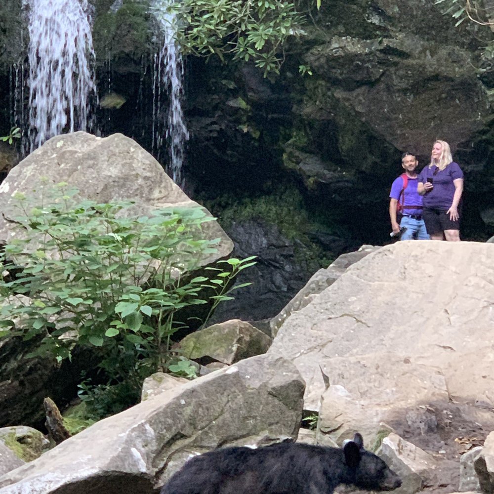 Off Road - ATV Rentals/Tours Near Me - Gatlinburg, Tennessee Off Road - ATV Rentals/Tours Near Me - Gatlinburg, Tennessee