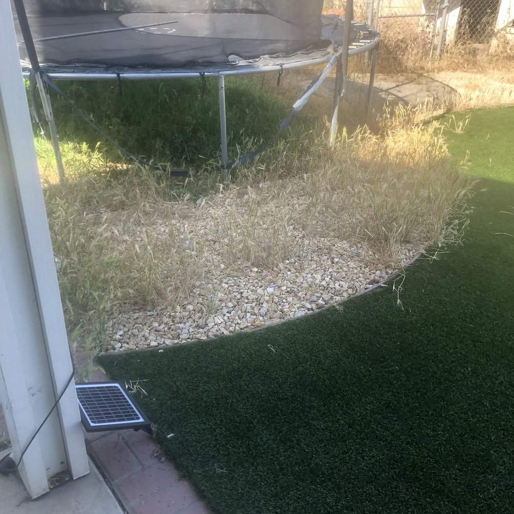 Vision Turf & Pavers - Weeds growing in the rocks and in the fake grass. Company doesn't back up their work or product - Artificial Turf Near Me - Orange, California Vision Turf & Pavers - Weeds growing in the rocks and in the fake grass. Company doesn't back up their work or product - Artificial Turf Near Me - Orange, California