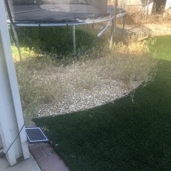 Vision Turf & Pavers - Weeds growing in the rocks and in the fake grass. Company doesn't back up their work or product - Artificial Turf Near Me - Orange, California Vision Turf & Pavers - Weeds growing in the rocks and in the fake grass. Company doesn't back up their work or product - Artificial Turf Near Me - Orange, California