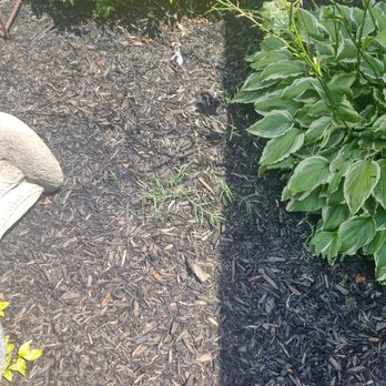 Roots Home Services - Grass - Landscaping Near Me Roots Home Services - Grass - Landscaping Near Me