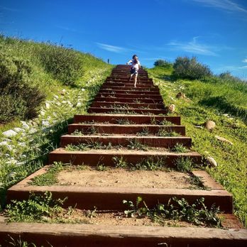 Santiago Oaks Regional Park - one of the many trails. - Parks Near Me - Orange, California