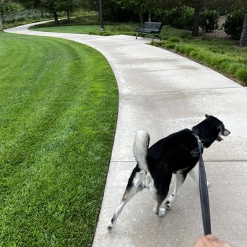 Jeffrey Open Space Trail - All the new smells and sites - Parks Near Me - Irvine, California Jeffrey Open Space Trail - All the new smells and sites - Parks Near Me - Irvine, California