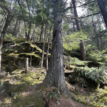 Chilkat Guides - Tours Near Me - Skagway, Alaska