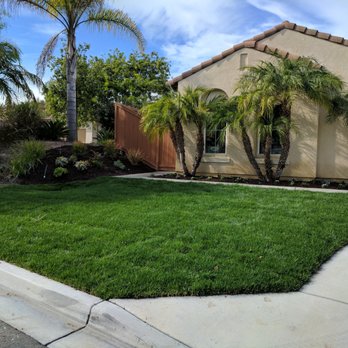 Rojas Landscape Construction - Tree Services Near Me