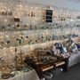 Eclipse Wellness Studio & Crystal Shop