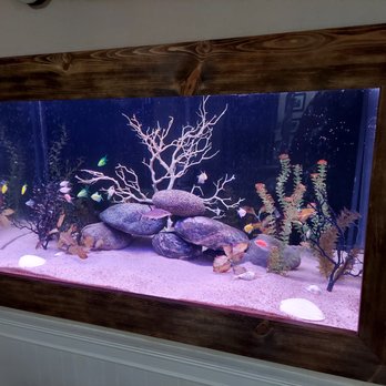 Petco - My display tank full of parasites. - Pet Stores Near Me - Chico, California Petco - My display tank full of parasites. - Pet Stores Near Me - Chico, California