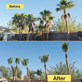 Garden Services JB - The season of Trimming your palms has arrived, we are here to serve you - Landscaping Near Me Garden Services JB - The season of Trimming your palms has arrived, we are here to serve you - Landscaping Near Me