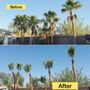 Photo of Garden Services JB