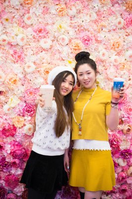 Sweet Cats Cafe by null