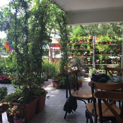 Aslı'nın Bahçesi