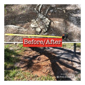 Stump-X - Royal poinciana with chainsaw work. Total cost $105. - Tree Services Near Me Stump-X - Royal poinciana with chainsaw work. Total cost $105. - Tree Services Near Me