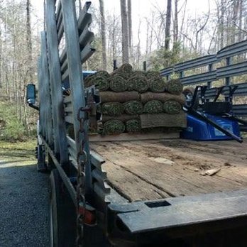 Strother's Tree and services - Tree Services Near Me Strother's Tree and services - Tree Services Near Me