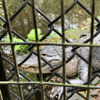 Busch Wildlife Sanctuary - Zoos Near Me - Jupiter, Florida