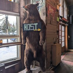 The bear host