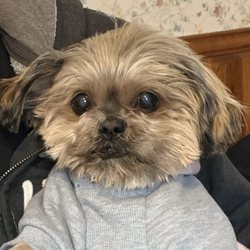 Bulger Veterinary Hospital - Ceci