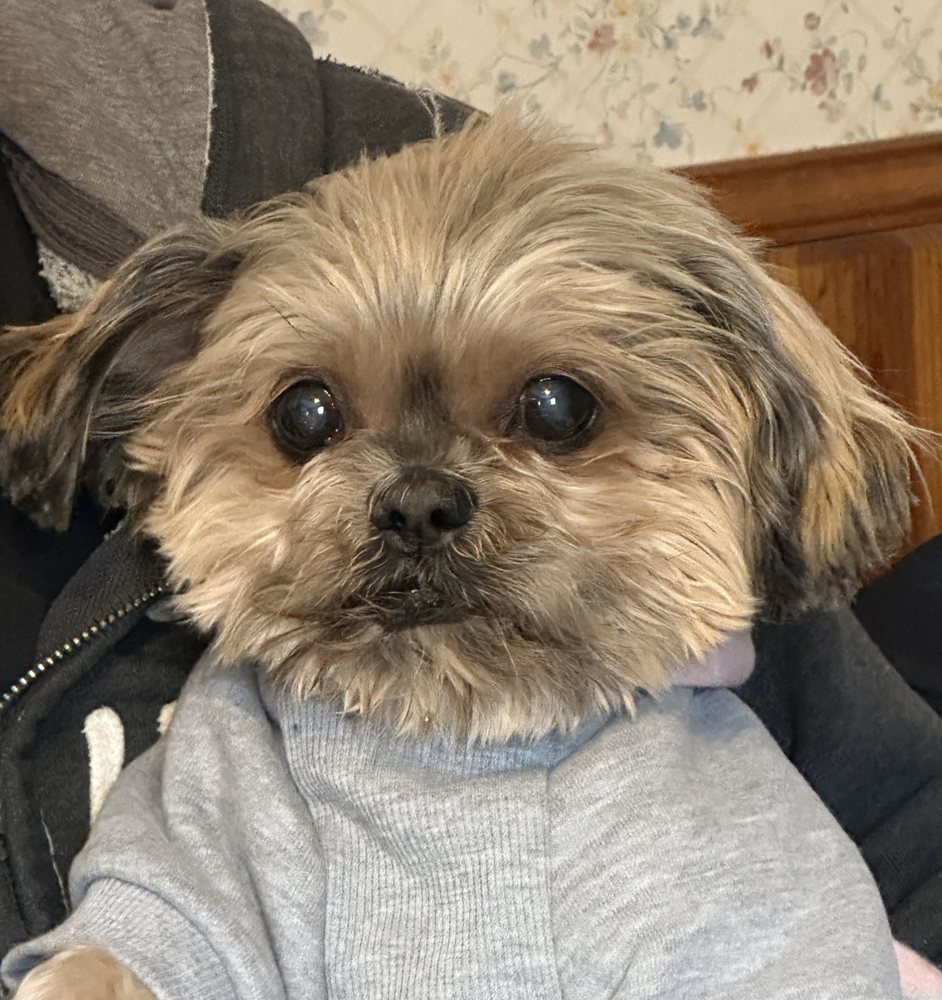 Bulger Veterinary Hospital Image
