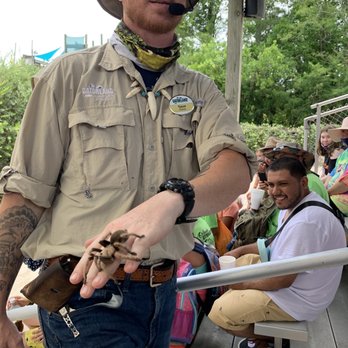 Gatorland - Spider on hand - Zoos Near Me - Orlando, Florida Gatorland - Spider on hand - Zoos Near Me - Orlando, Florida