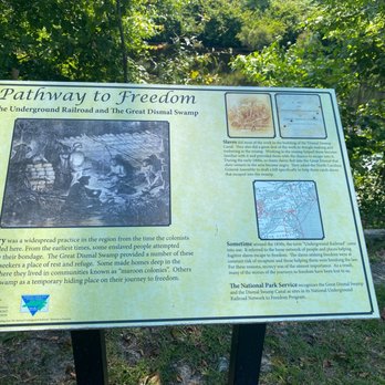 Dismal Swamp State Park - Hiking Near Me - South Mills, North Carolina