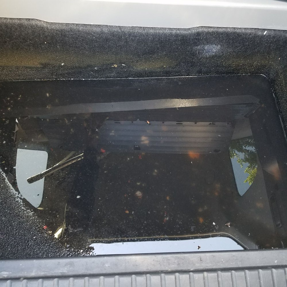 Mold Inspection Sciences - The insurance company said the ring was mold and refused to fix my vehicle until a mold test was performed to rule out mold. - Home Inspectors Near Me
