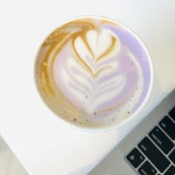 Middle State Coffee - Ube Latte