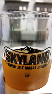 Skyland Ale Works by null